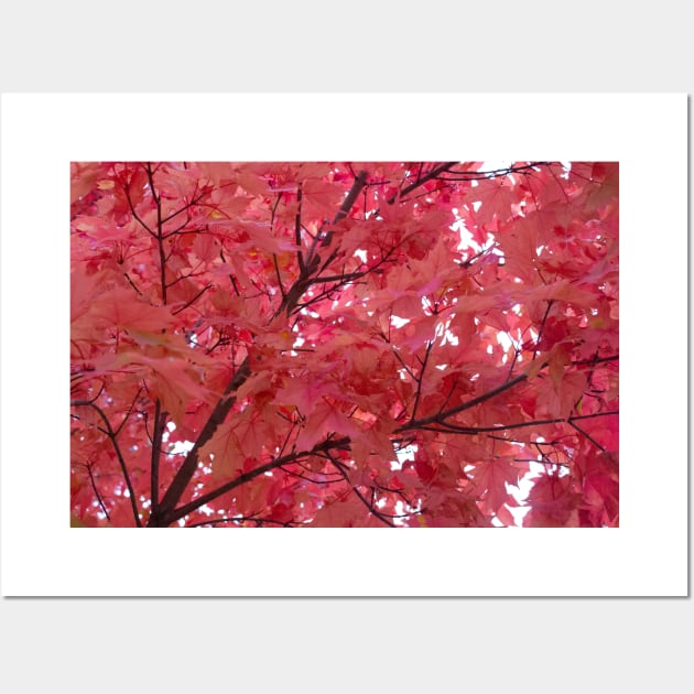 Pink leaves in fall thanksgiving Wall Art by Beccasab photo & design